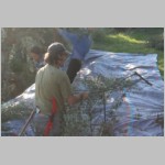 520 Die geschnittenen Aeste muessen von Hand abgeschlagen werden ....JPG 520 Die geschnittenen Aeste muessen von Hand abgeschlagen werden ....JPG